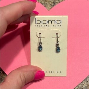 Sterling Silver Blue Earrings